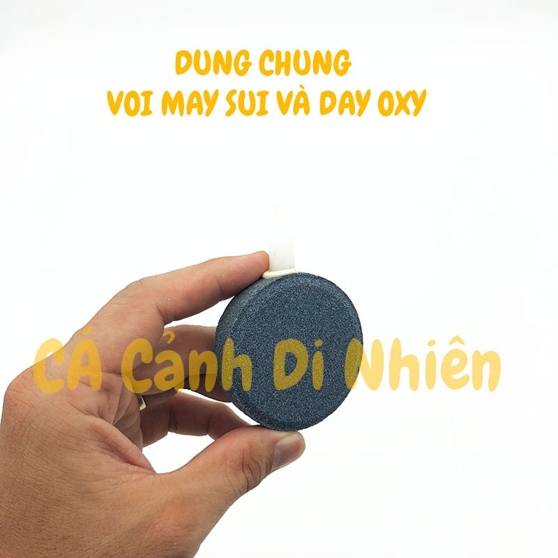 Sủi Oxy đĩa siêu mịn đường kính 6 cm cho hồ cá cảnh AIR STONE