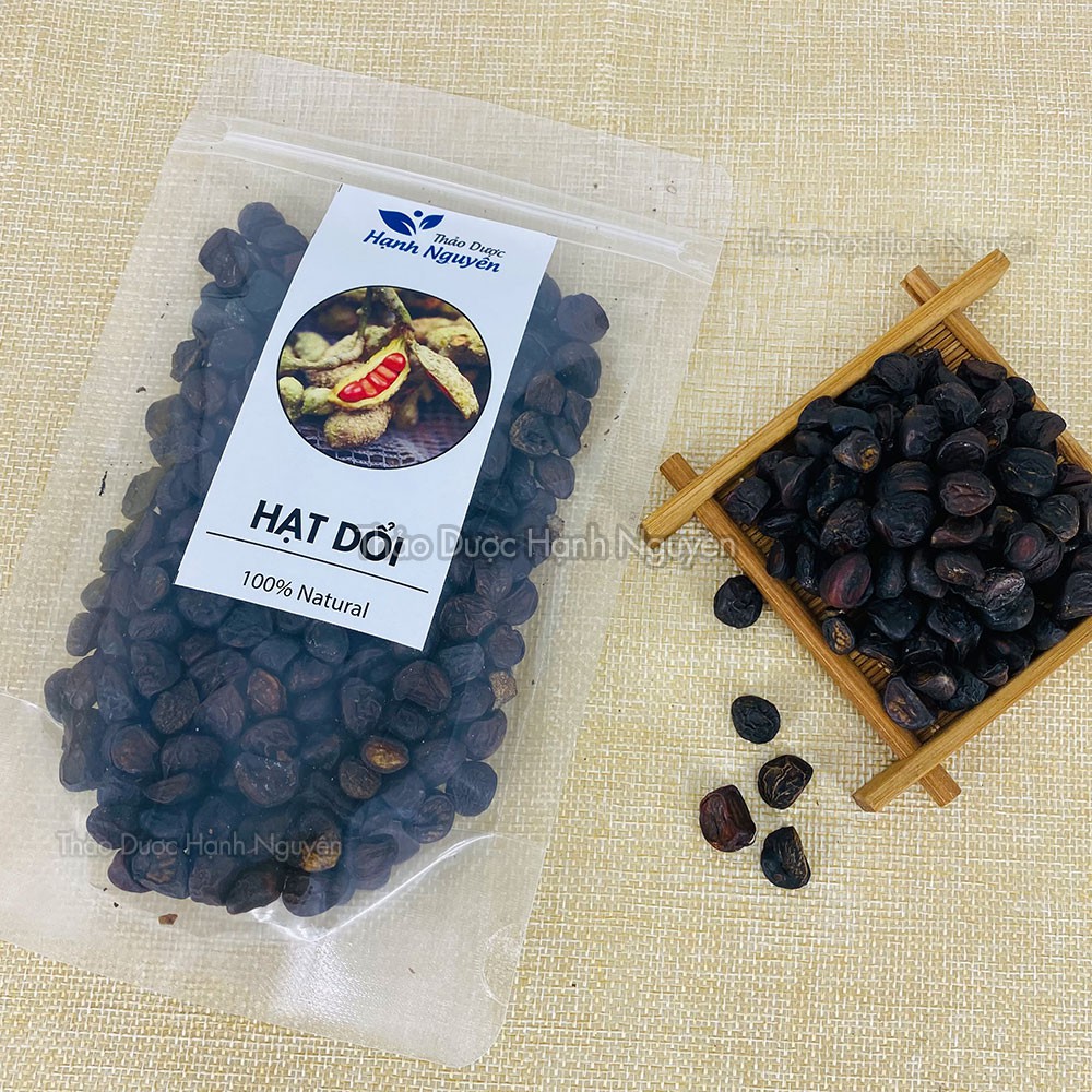 100g Hạt Dổi Rừng (Hạt Dổi Nếp Tây Bắc)