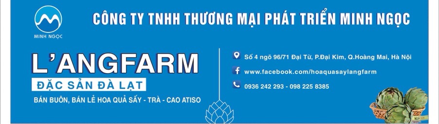 Combo 3 hộp Ống uống actiso Ladophar