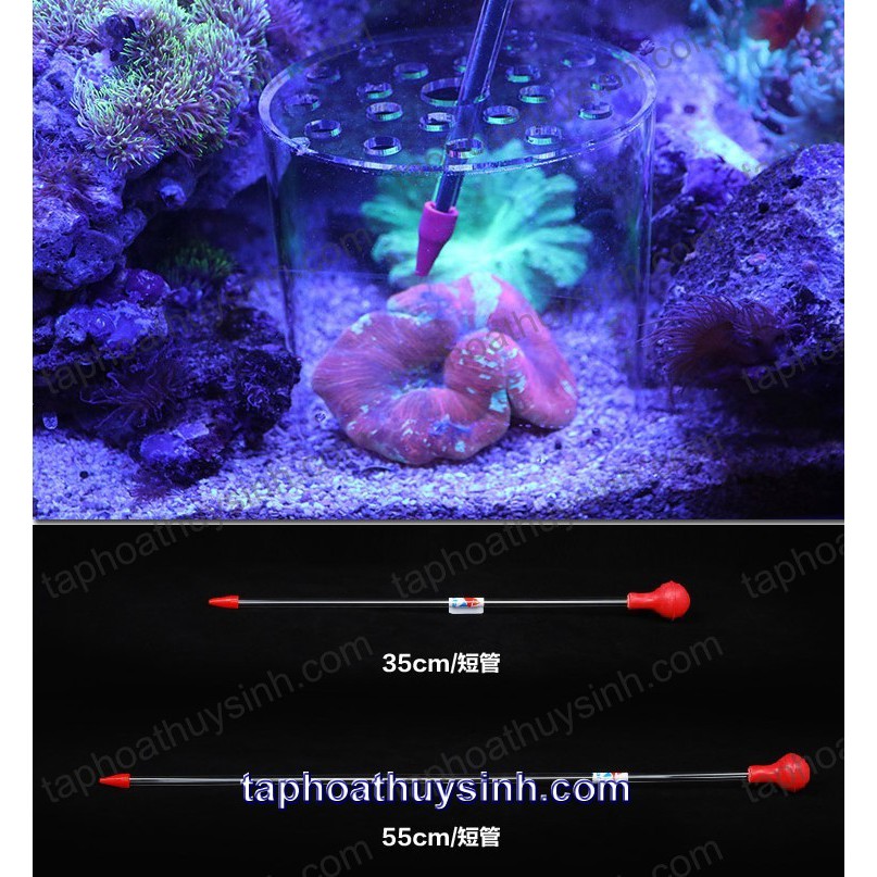 HỘP CHỤP THỨC ĂN và BỘ ỐNG DÀI CHO CÁ VÀ SAN HÔ ĂN Red Starfish 35cm + 55cm
