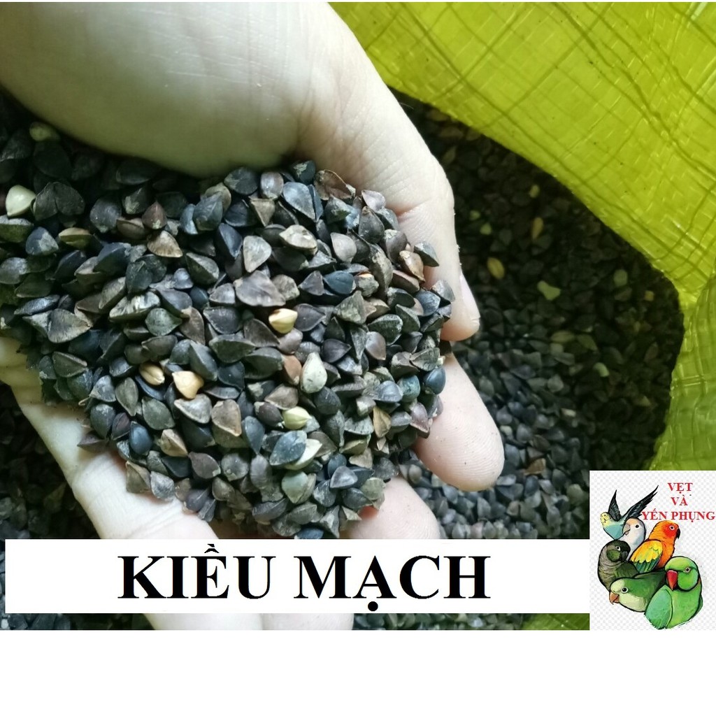 100G BA KHÍA (KIỀU MẠCH) CHO CHIM,VẸT,HAMSTER