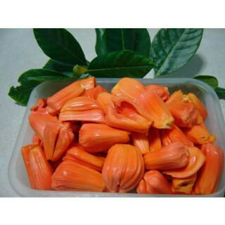 Cây mít thái ruột đỏ