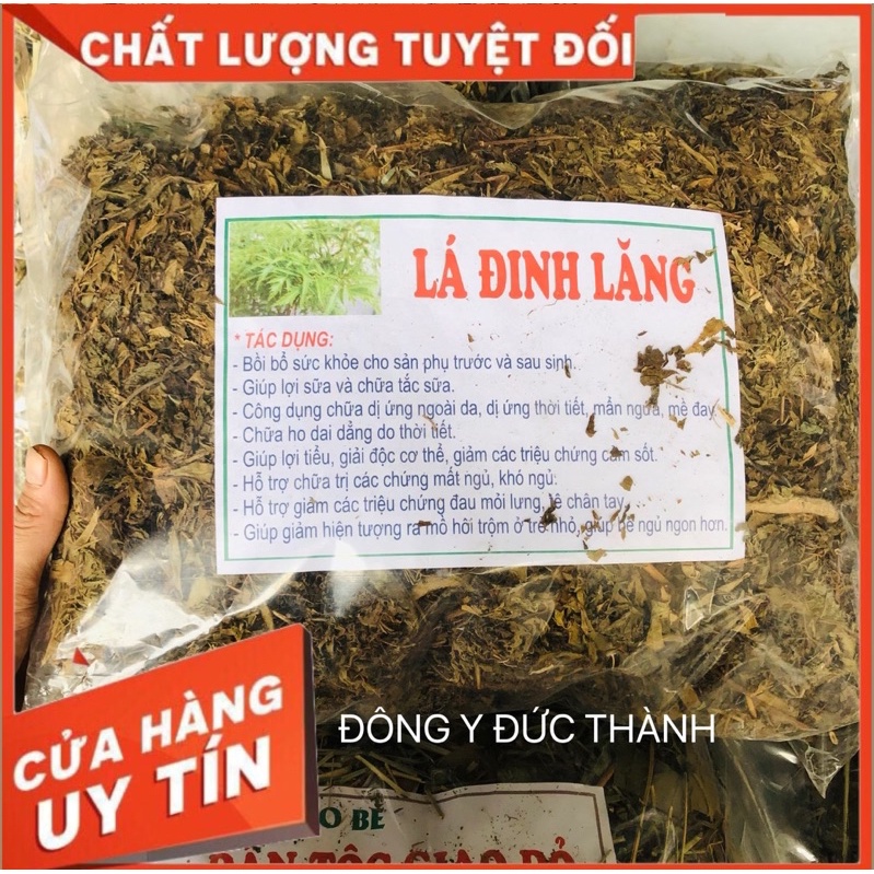 1kg Lá đinh Lăng khô ,SẠCH,MỚI THU HOẠCH( GIÁ TỐT)