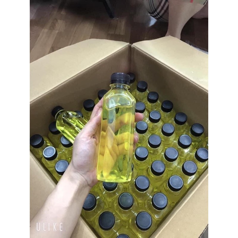 kem sâm cô tiên thái Lan 20g | BigBuy360 - bigbuy360.vn