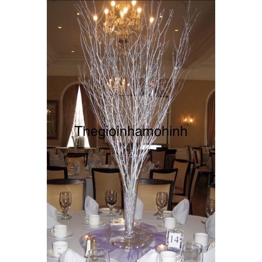 Cành khô nhiều nhánh tự nhiên trang trí, decor không giam sống