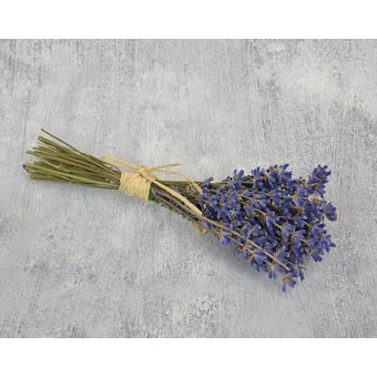 🍁Hoa khô Oải Hương trang trí phòng🍁 Bó Hoa Lavender thơm decor phòng🍁