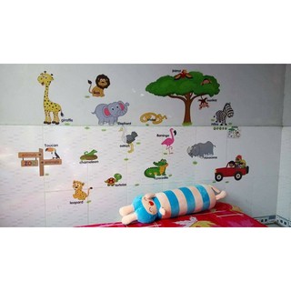 decal dán tường thú tiếng anh