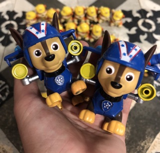 Chó cứu hộ Chase