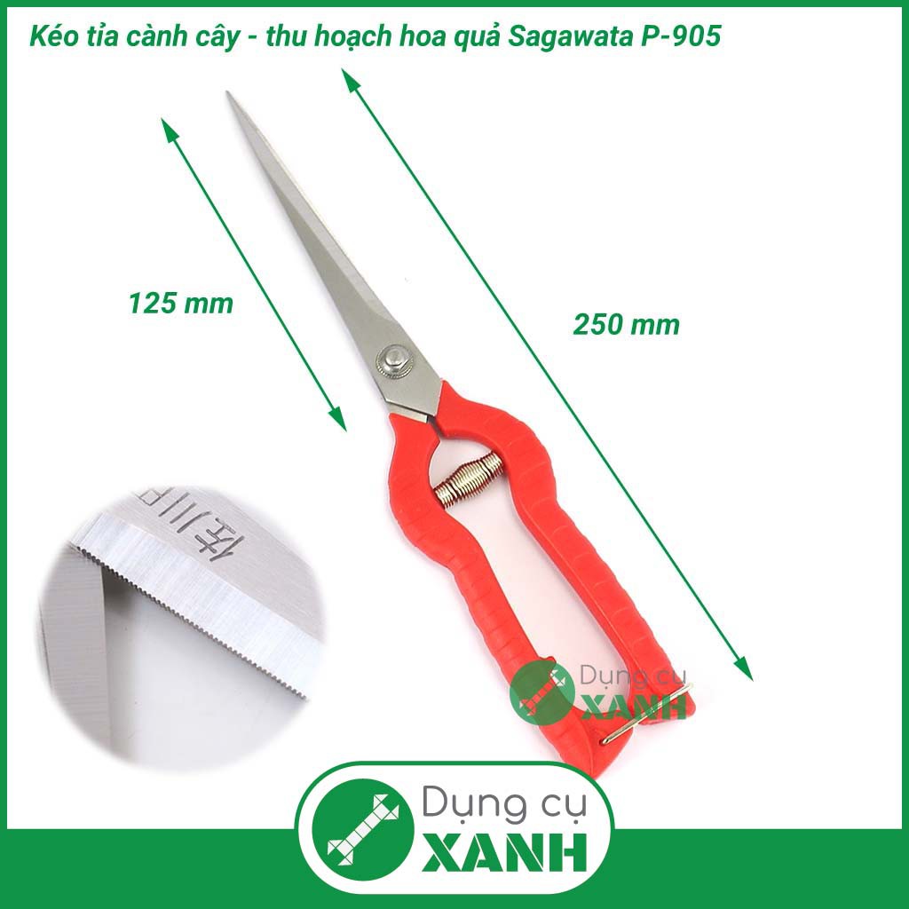 Kéo cắt tỉa cành cây thu hoạch hoa quả Sagawata P-905