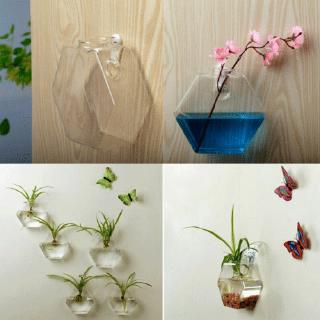 Bình thủy tinh trồng cây treo tường trang trí nội thất