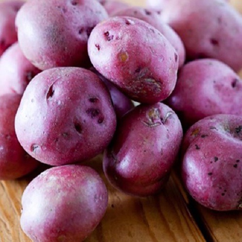 Hạt giống khoai tây mix màu