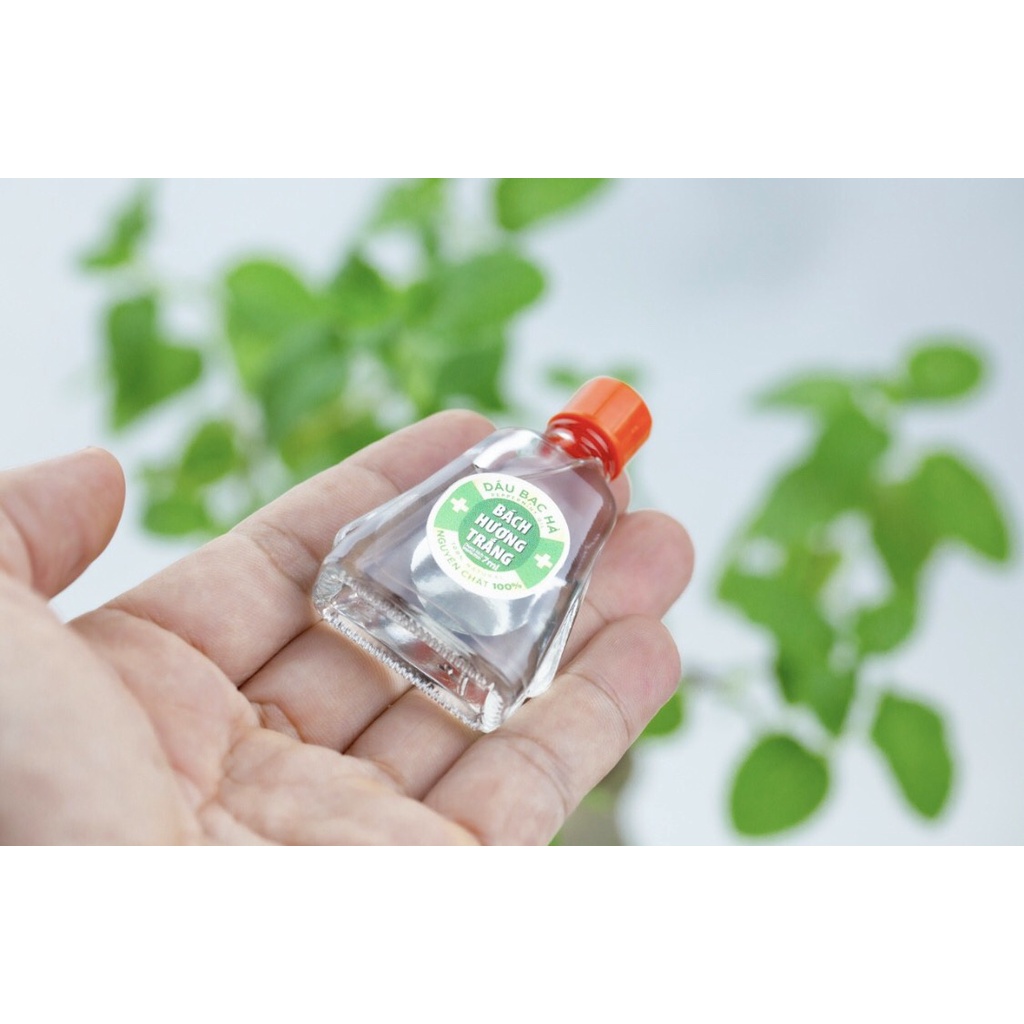 Combo 3 chai tinh dầu bạc hà BÁCH HƯƠNG TRẮNG