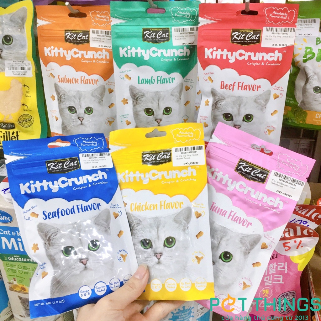 Bánh thưởng cho mèo Kit Cat 60g viên giòn / viên sạch răng