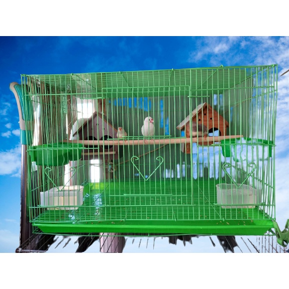 Lồng chứa chim nuôi chim nhỏ 60x42 x40 cm