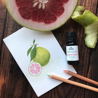 TINH DẦU BƯỞI 10ML