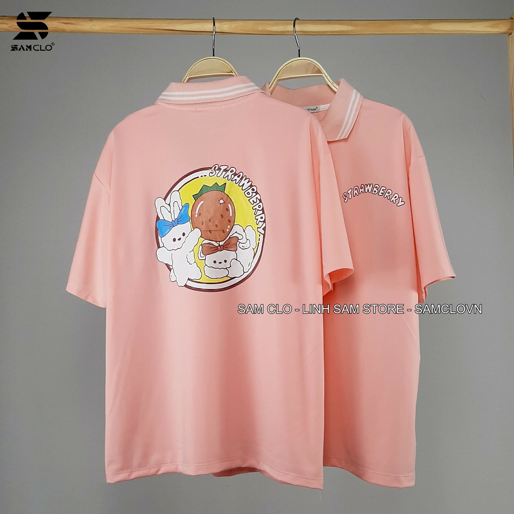 Áo thun Polo nữ tay lỡ form rộng SAM CLO phông freesize unisex mặc đi học, nhóm, lớp in hình thỏ trắng chữ STRAWBERRY