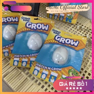 Trứng khủng long ngâm nước tự nở và lớn dần HATCH & GROW DINO