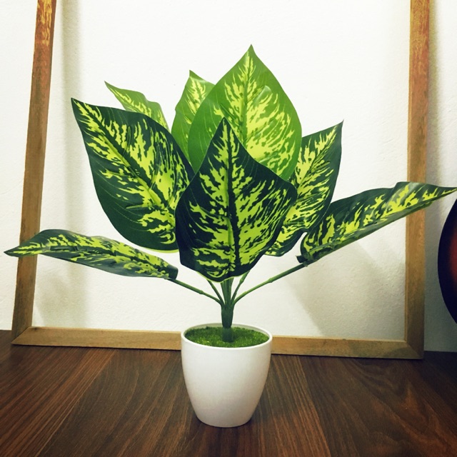 Cây giả - cây lá đốm 30cm/40cm