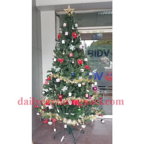 Cây thông noel màu xanh 2m - Cây dày chắc chắn dể tháo lắp