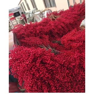 Cành cherry đỏ ( Xả kho nghĩ bán). Đào đông quả đỏ mọng siêu to dài 1mét 12nhánh trang trí nhà cửa, văn phòng....