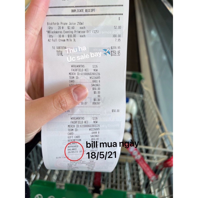 hoa anh thảo 125v/190v | BigBuy360 - bigbuy360.vn