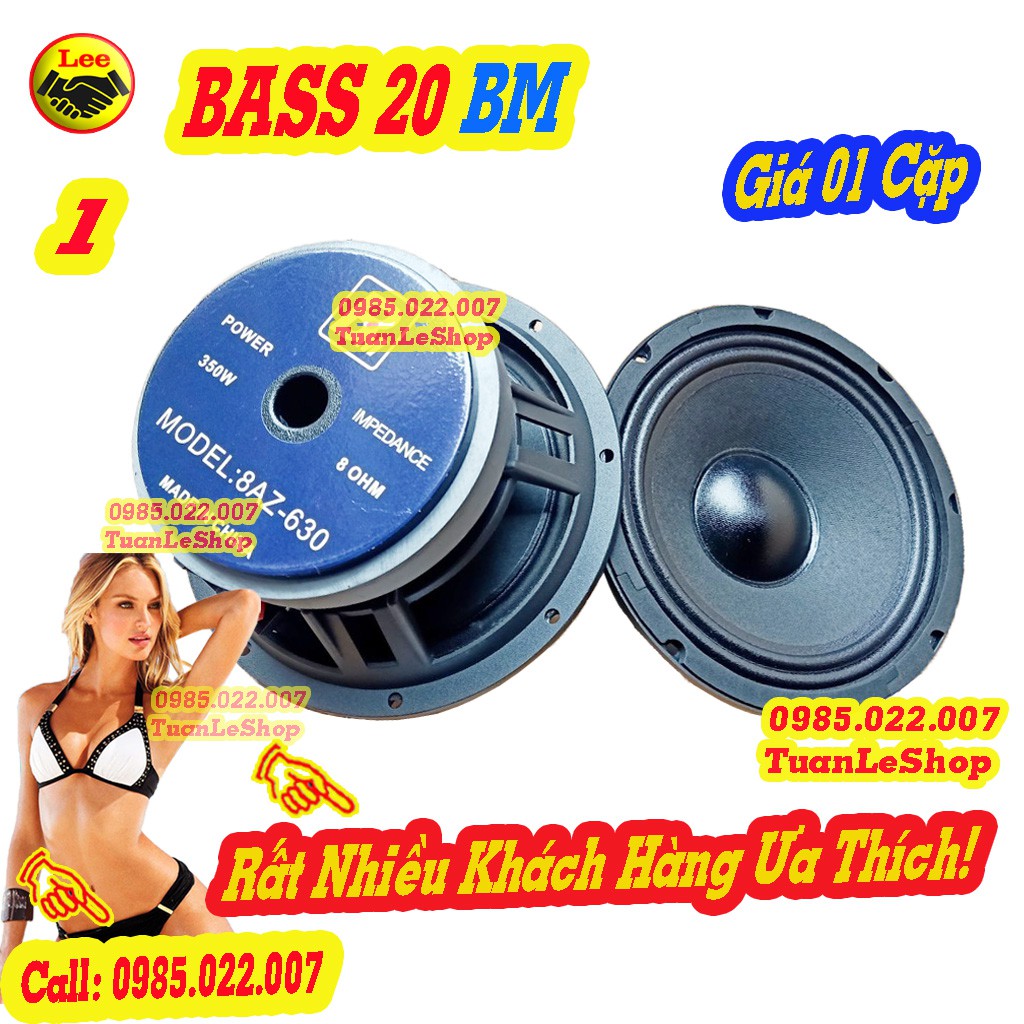 LOA BASS 2 TAC BM CAO CẤP - GIÁ 01 CẬP LOA BASS 20