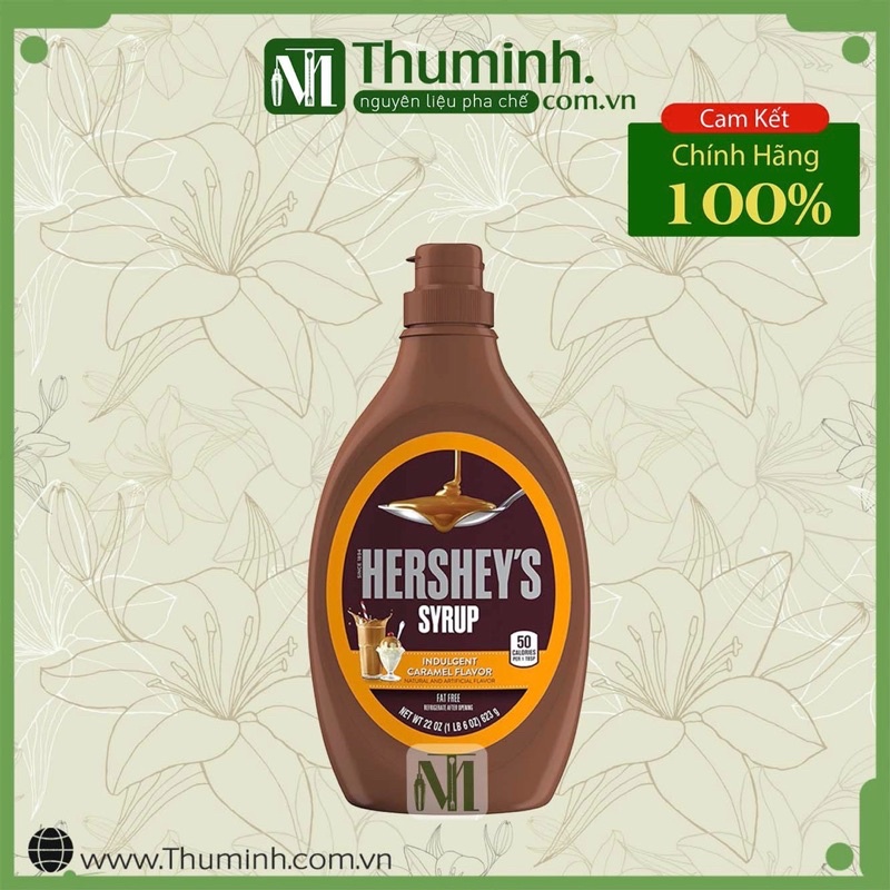 Sốt Socola Hershey Có Đủ Mùi Chuẩn Hàng Mỹ 630g