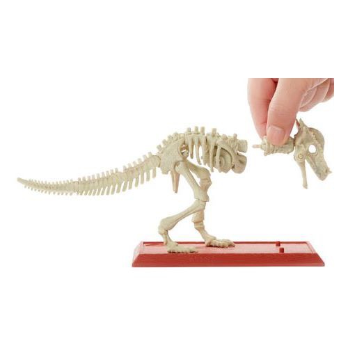 Đồ chơi  giáo dục STEM -  mô hình hóa thạch khủng long Mattel Jurassic World FTF03 - Toyshouse