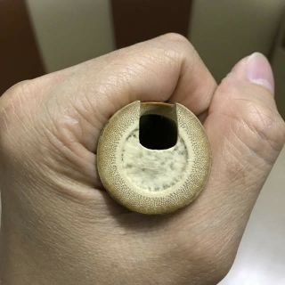 Động tiêu (Bắc) tone c4