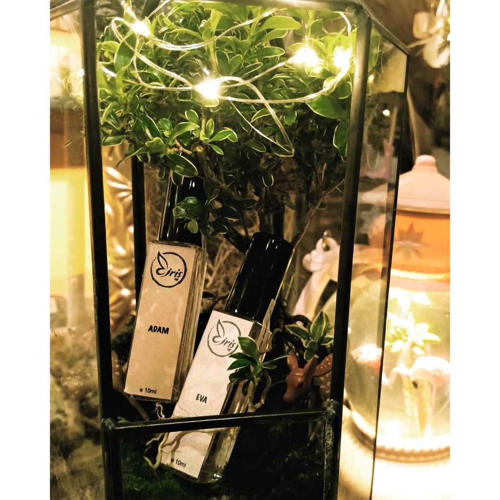 Nước hoa handmade thơm lâu mùi ngọt phấn vani | IRIS PERFUME | EVA - BST Couple | BigBuy360 - bigbuy360.vn