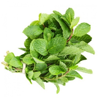 (GÍA SỈ) [gói 0.1g] Hạt giống rau húng lủi