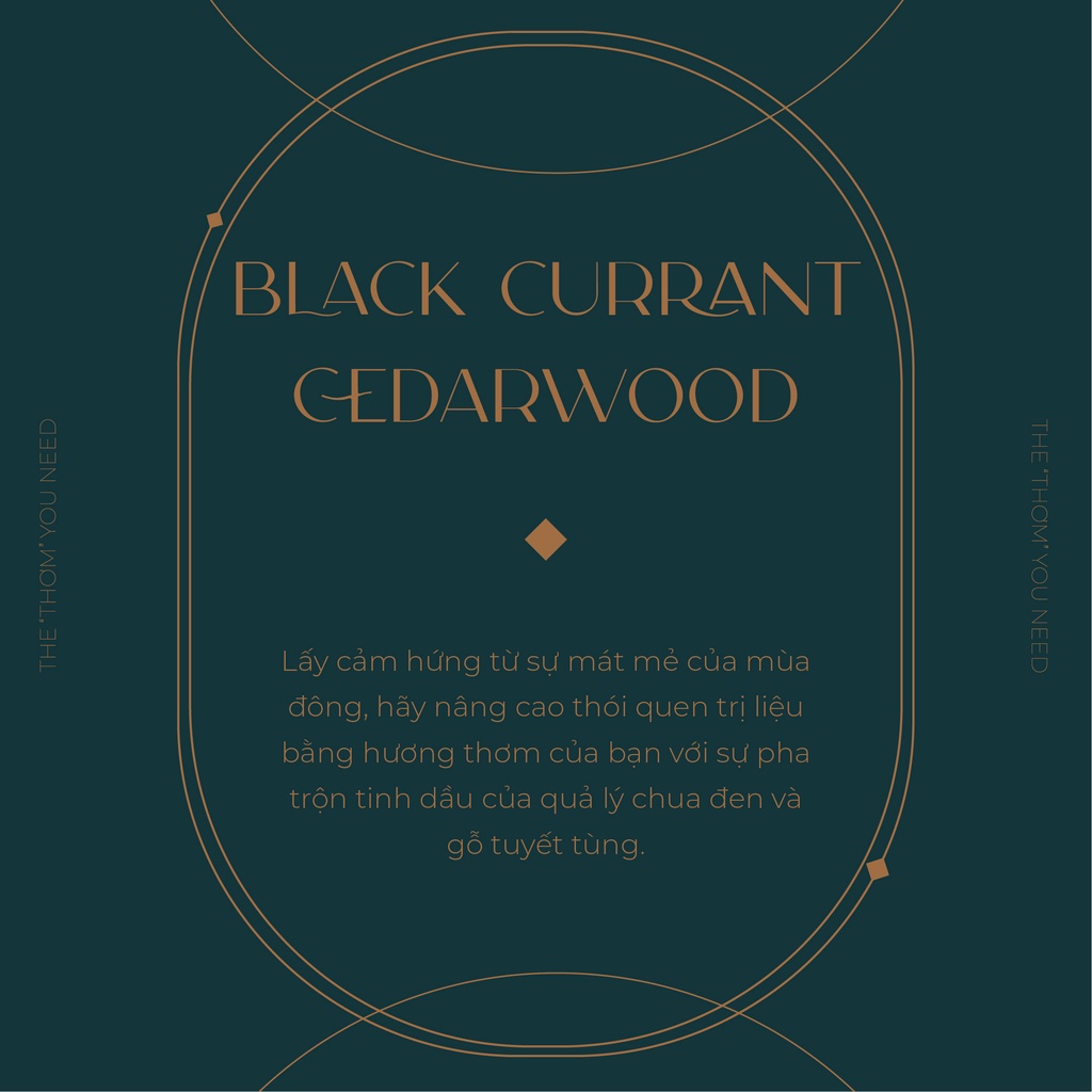 GEL TẮM THƯ GIÃN BATH &amp; BODY WORKS AROMATHERAPY EUCALYPTUS LAVENDER | TEA TREE PEPPERMINT | BLACK CURRANT CEDARWOOD