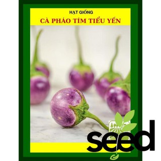 1G - Hạt Giống Cà Pháo Tím Tiểu Yến