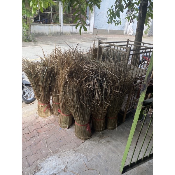 Lá chanh trang trí ngày tết 1 bó dài 6m cao 90 cm
