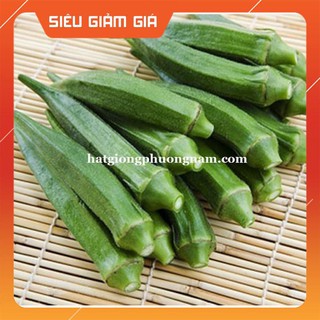 10GR - HẠT GIỐNG ĐẬU BẮP XANH CAO SẢN SIÊU LÙN [Giá Hủy Diệt]