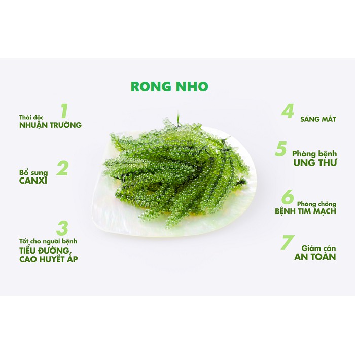 525G rong nho tươi nở ra - Rẻ Nhất Thị Trường