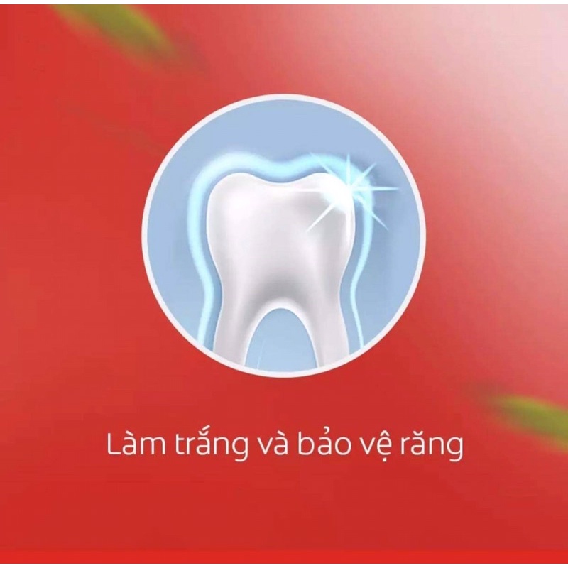 Bàn chải Đánh răng Slimsoft  360Charcoal Gold + Kem đánh răng muối tảo biển,than 40g