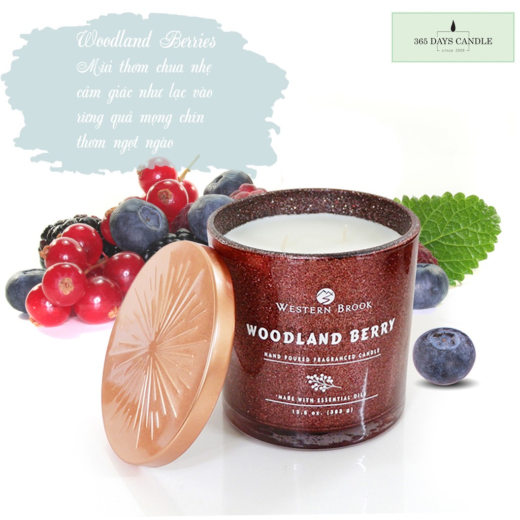 (SỈ INBOX) Hương Woodland Berries _Nến Thơm cao cấp VNXK _WESTERN BROOK 383g