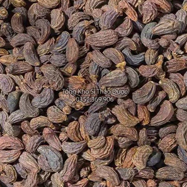 Nữ Trinh Tử 100g