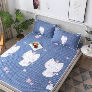 CHIẾU ĐIỀU HÒA TENCEL 2D GIÁ RẺ (OC)