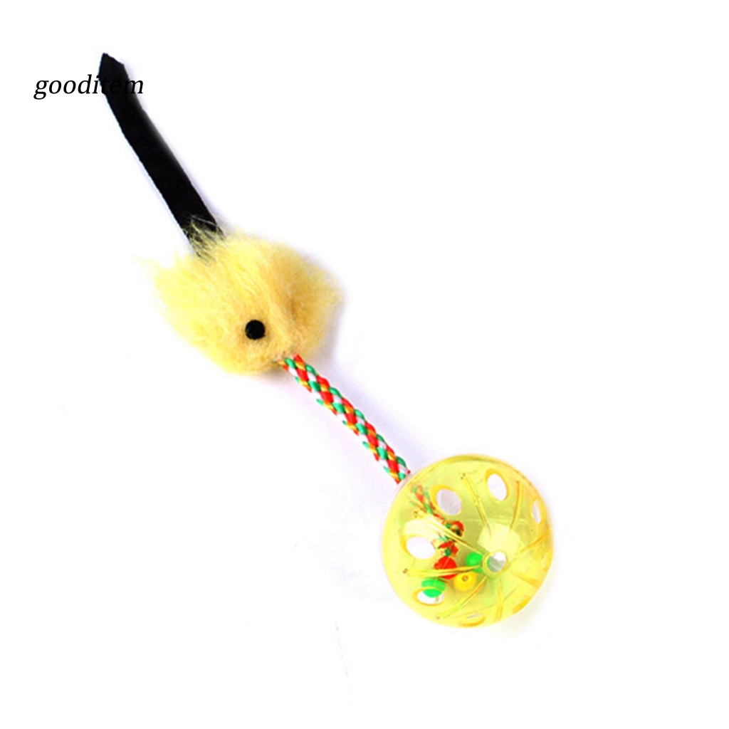 Bóng Đồ Chơi Tương Tác Giải Tỏa Căng Thẳng Cho Mèo