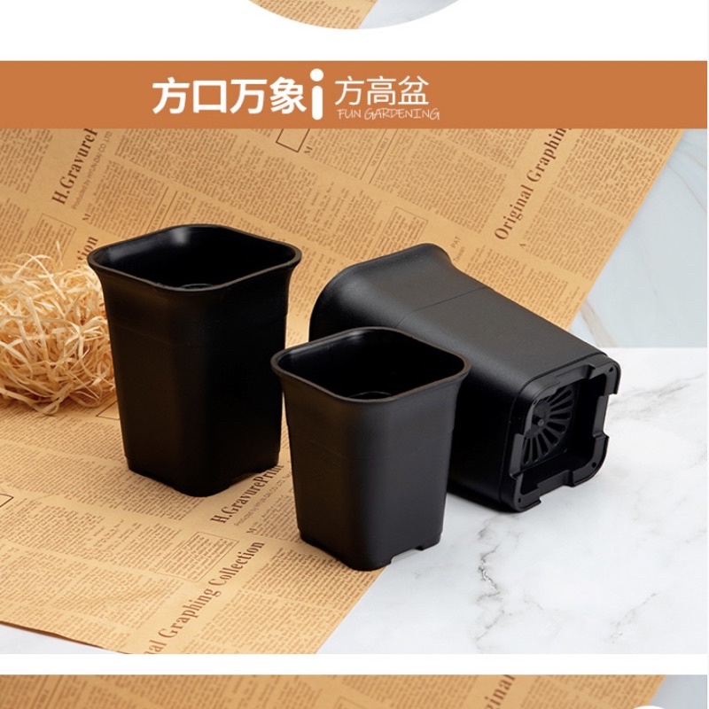 Chậu nhựa vuông đen cao, chậu trồng sen đá xương rồng