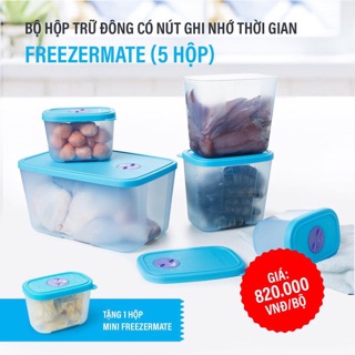 Bộ hộp trữ đông có nút ghi nhớ thời gian Freezermate 5 hộp