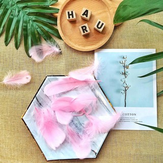 PHỤ KIỆN CHỤP HÌNH - Set Lông Vũ làm đạo cụ chụp ảnh trang trí phông nền
