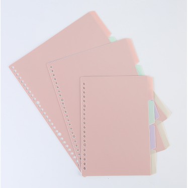 Set 4 Tab Bìa Phân Trang Nhựa cho Sổ Còng A5, B5, A4 Tab Divider.