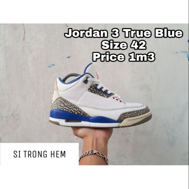 Jordan 3 True Blue