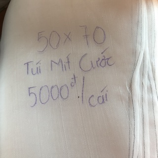 100 TÚI BỌC MÍT THÁI CỠ 50x70 (CƯỚC THÁI)