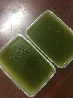 Bột thạch găng xanh