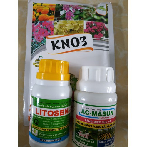 COMBO dưỡng cây chăm sóc cây mai, bông giấy ( KNO3+AC Masun+Litosen) - 100ml/chai