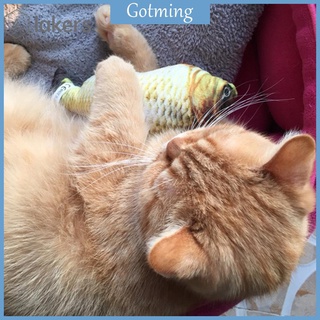 Pet Cat Kitten Chewing Cat Toys Stuffed Fish Mint Pet Interactive Cat Gift
